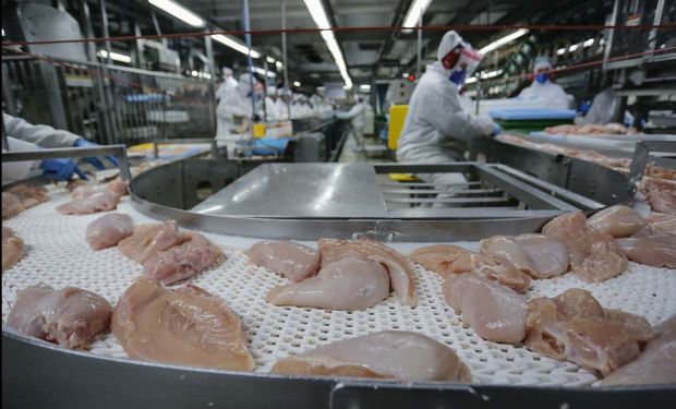 Brasil abre mercado para exportar carne de aves ao Reino do Lesoto