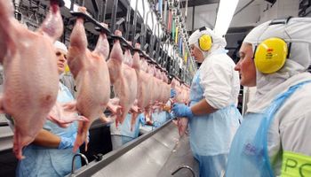 Com alta de 22% em setembro, exportações de frango crescem 0,6% no ano