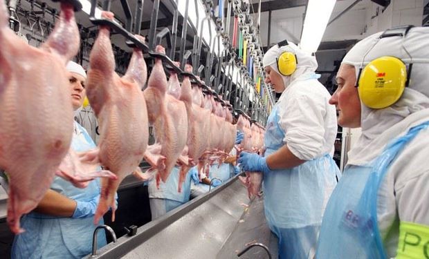 Com alta de 22% em setembro, exportações de frango crescem 0,6% no ano