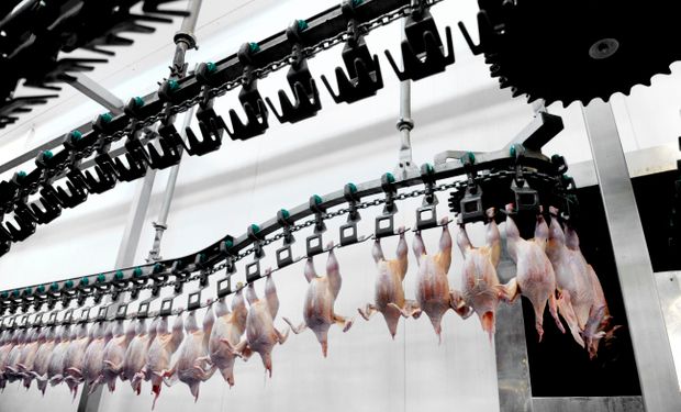 Com demanda internacional aquecida, exportações de carne de frango crescem