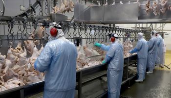 União Europeia reabre mercado para carne de frango e peru do Brasil