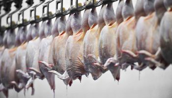 Gripe aviária: veja quem ainda barra a carne de frango do Brasil