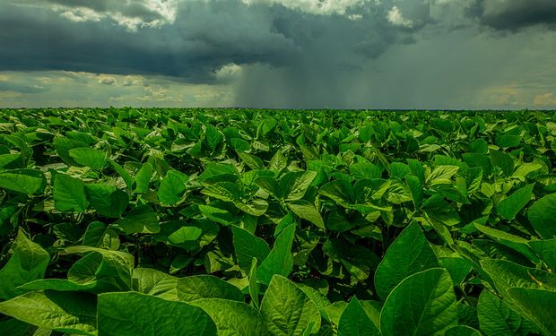 Frente fria avança e muda o tempo no Sul e Sudeste do Brasil