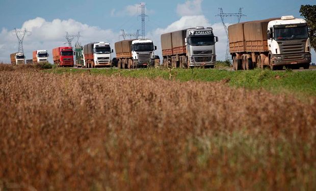 Potencial de produção argentina é de 51 milhões de toneladas, o que representaria crescimento de 137% ante a safra anterior. (foto - CNA)