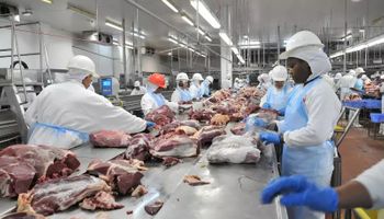 Governo sanciona Lei do Autocontrole como último ato sobre o agro