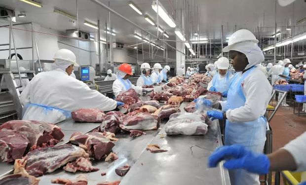 Iniciativa privada deverá para auxiliar o Poder Público na tarefa de manter rebanhos, lavouras e produtos saudáveis. (foto - ilustração)
