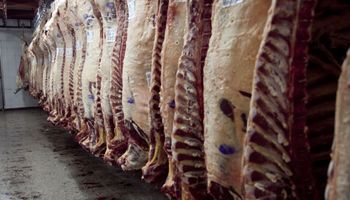 La Argentina tendrá el mayor crecimiento exportador en 2018