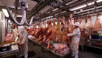 La ganadería sostiene la producción, pero preocupa el impacto en el stock