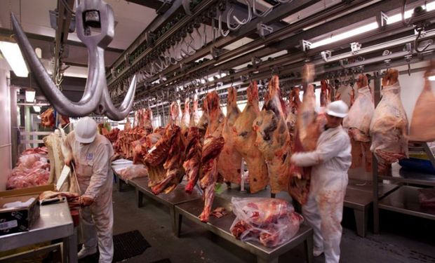 La ganadería sostiene la producción, pero preocupa el impacto en el stock