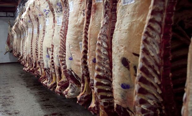 Estas proyecciones para la producción y el comercio de carnes son elaborados por el USDA dos veces al año, en abril y en octubre.