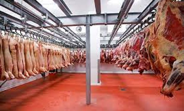 São seis unidades de carne de aves e cinco de carne bovina autozidadas. (Foto - Marcelo Casal Jr/Ag. Brasil)