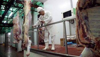 Carne: frigoríficos advierten que cualquier intervención en el mercado provocará "efectos distorsivos"