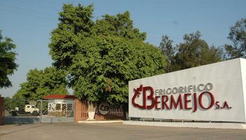 Inversión millonaria en ganadería: destinan US$ 20 millones para ampliar un frigorífico en Salta