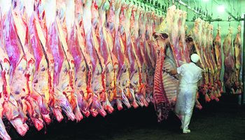 EE.UU. inicia los envíos de carne vacuna a Sudáfrica