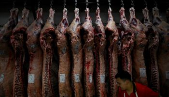 Recorde na produção de carne bovina no Brasil gerou queda de preços em 2023