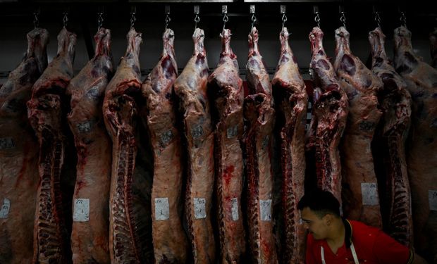 Recorde na produção de carne bovina no Brasil gerou queda de preços em 2023