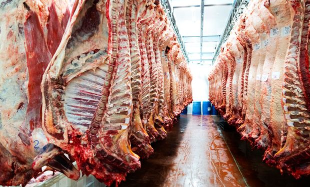 Queda da arroba na primeira metade de agosto de 2023 está atrelada à maior oferta de animais para abate e à demanda interna fraca