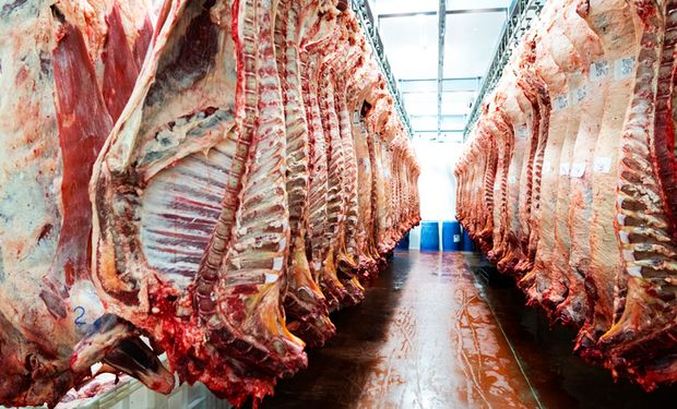 Preços da carne bovina no atacado vêm apresentando recuperação no atacado. (foto - CNA)