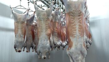 Com selo halal, frigorífico de cordeiro do Grupo VPJ abre porta para mercado bilionário