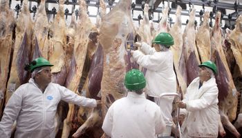 Carne: diputados de Cambiemos piden una medida cautelar para levantar el cierre de las exportaciones