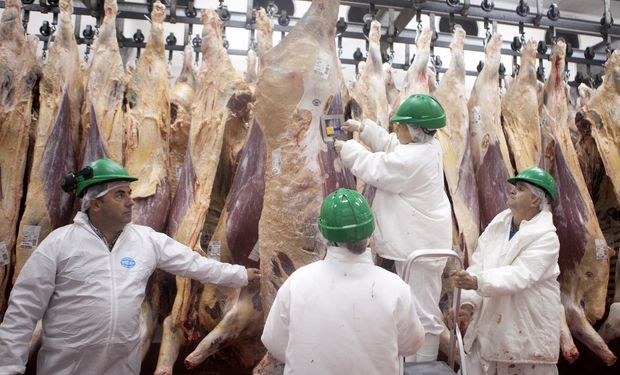 Carne: diputados de Cambiemos piden una medida cautelar para levantar el cierre de las exportaciones