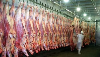 Las exportaciones argentinas se sostienen altas en septiembre