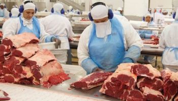 Mercado espera retomada da exportação de carne bovina à China neste mês