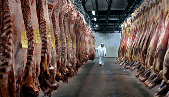 Se realizará un curso de capacitación para tipificación de carne