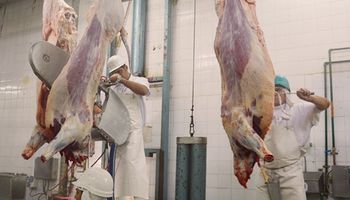 Carne: AFIP denunció que el 90 % de los frigoríficos más grandes realizaron maniobras de evasión