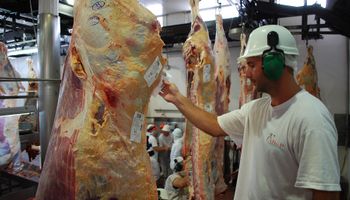 La producción de carne dejó de crecer durante 2019