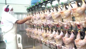 Carne: más producción acelera la necesidad de crecer en envíos