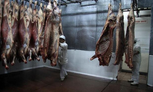 Informe del Consorcio de Exportadores de Carnes Argentinas ABC.