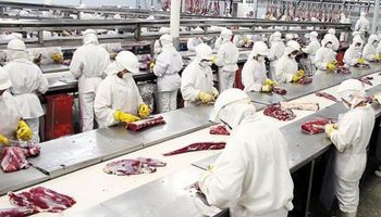 Frigoríficos piden ayuda financiera