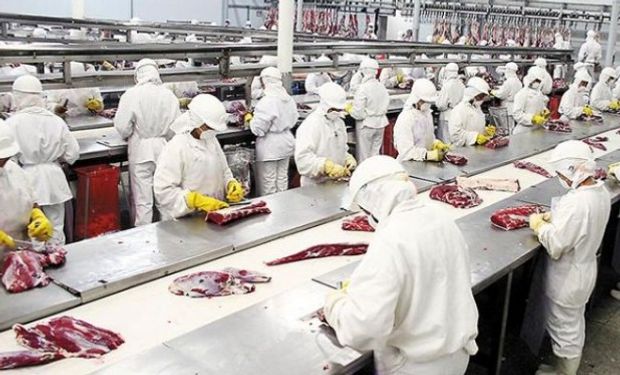 Faena de novillos superó las dos millones de cabezas.