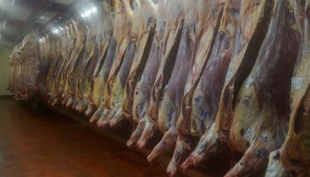 Se inician las pruebas piloto con Controladores Electrónicos de Faena