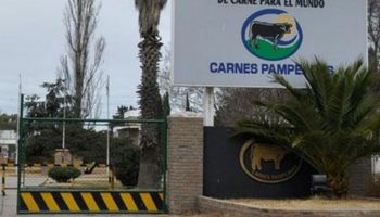 Pérdidas del Frigorífico Carnes Pampeanas se incrementaron un 80%