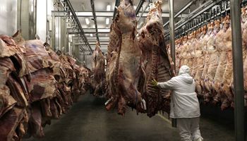 Carne: Consumo trepó a 63,5 Kg.