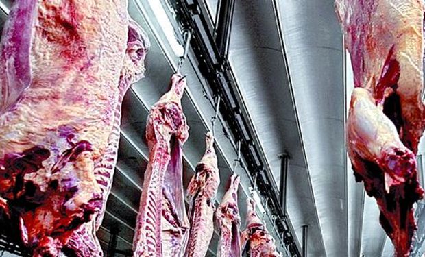 La Argentina está tratando de que abra el mercado a la carne enfriada (un negocio de nicho, de alto valor) y a la congelada con hueso.