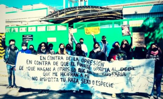 A los bifes: trabajadores de dos frigoríficos se enfrentaron a un grupo de veganos