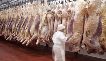 El coronavirus impacta en el comercio de carne a China y cayó un 14 % el embarque