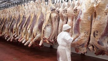 El Gobierno amplió el programa de emergencia y suma a nuevas actividades agropecuarias