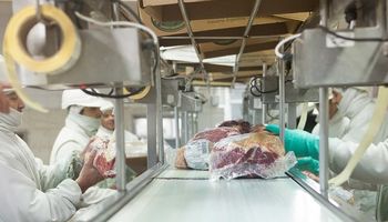 Piden mayor transparencia en las habilitaciones de los frigoríficos con casos de coronavirus