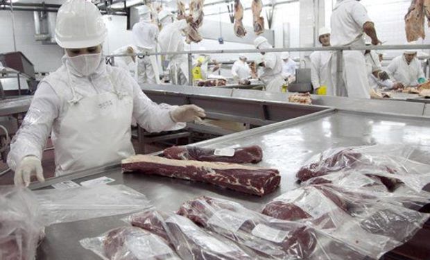 "No es el camino": la industria de la carne también rechazó la restricción a la exportación de maíz