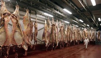 Exportaciones de carne recuperan mercado este año