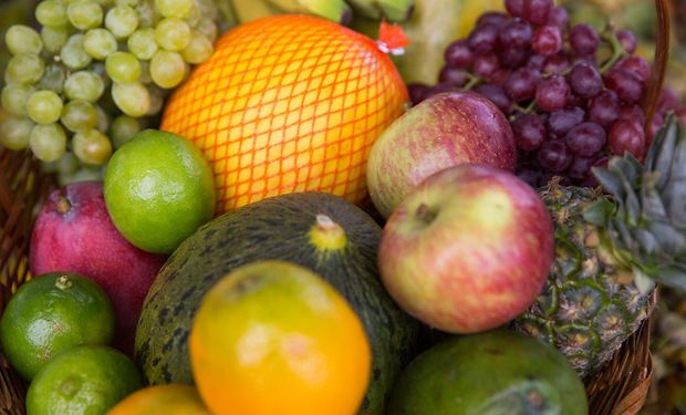 Quais as principais frutas exportadas pelo Brasil?