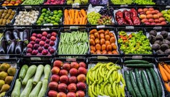 Preço das hortaliças está mais barato nas Ceasas do país, diz Conab