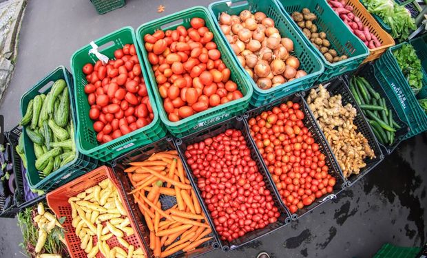 Quais frutas e hortaliças ficaram mais baratas?