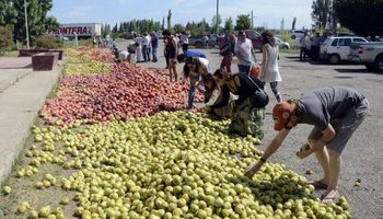Productores vuelven a las rutas a regalar fruta