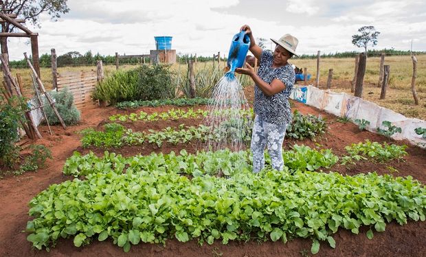 Cerca de 94% dos produtores de hortaliças relatam perda de produtividade por mudanças climáticas, diz pesquisa