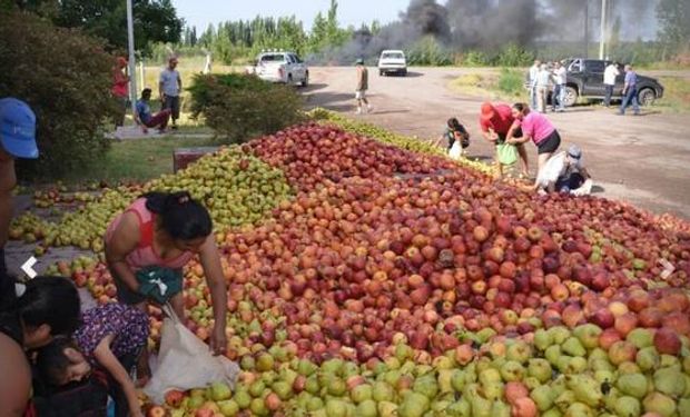 A principio de año, productores arrojaron miles de kilos de peras y manzanas en Río Negro. Foto: Mario Villasuso.